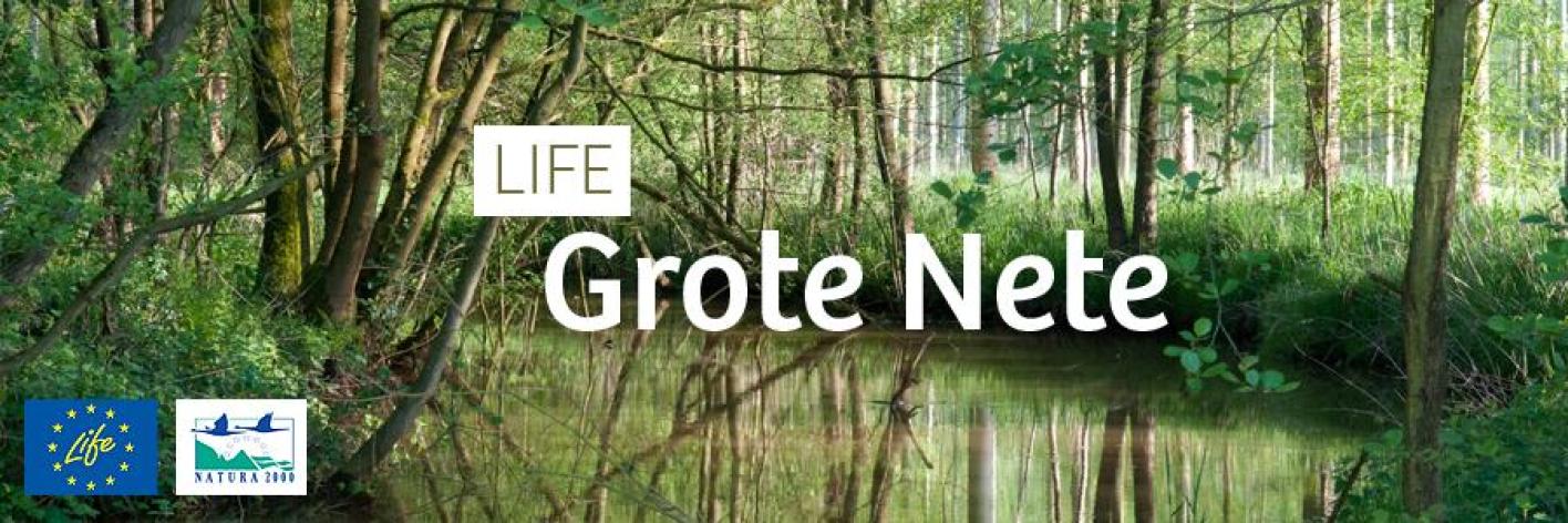 life_grote_nete_-_header