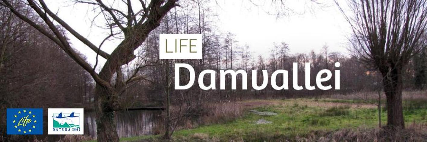 life_header_damvallei