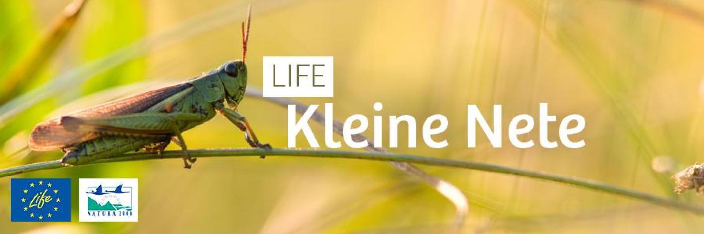LIFE Kleine Nete