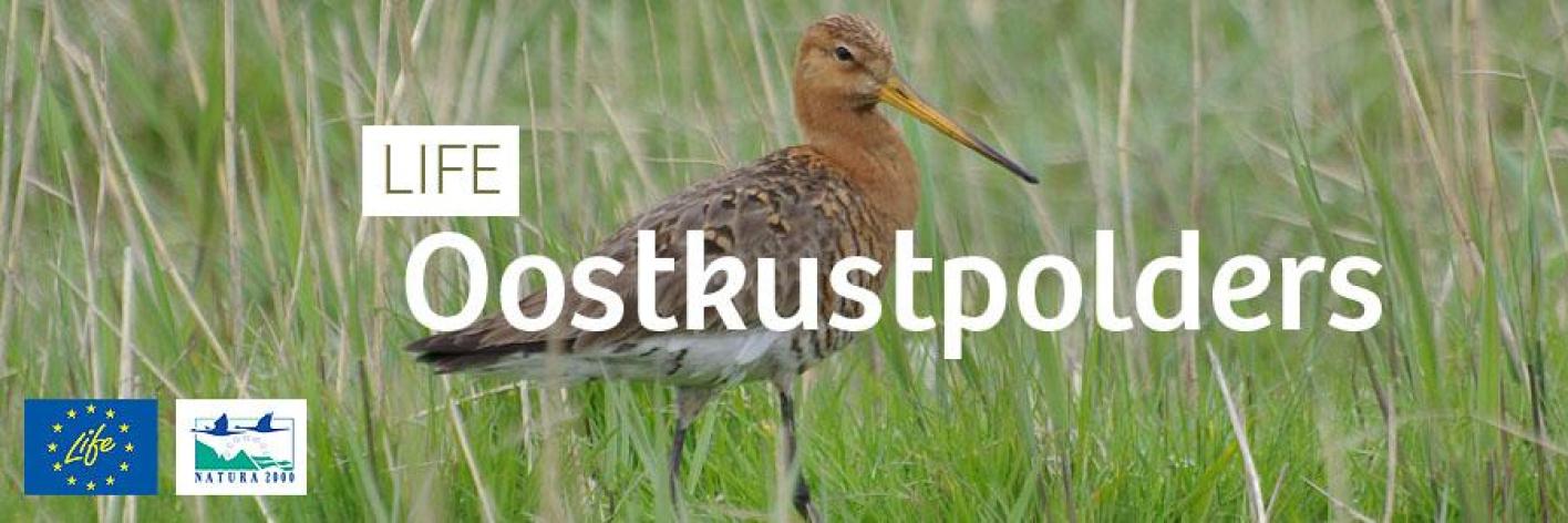 life_oostkustpolders_-_header