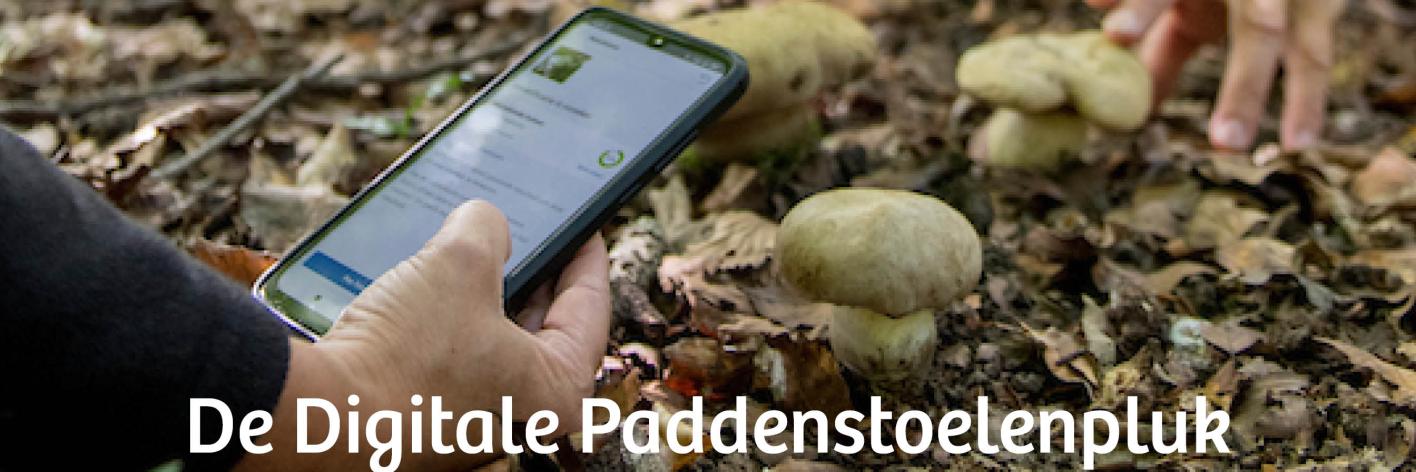 Digitale paddenstoelenpluk