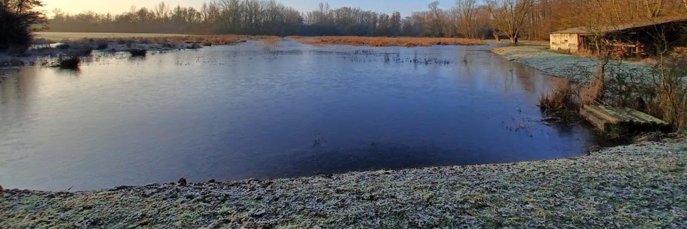 Honegem - Erpe-Mere