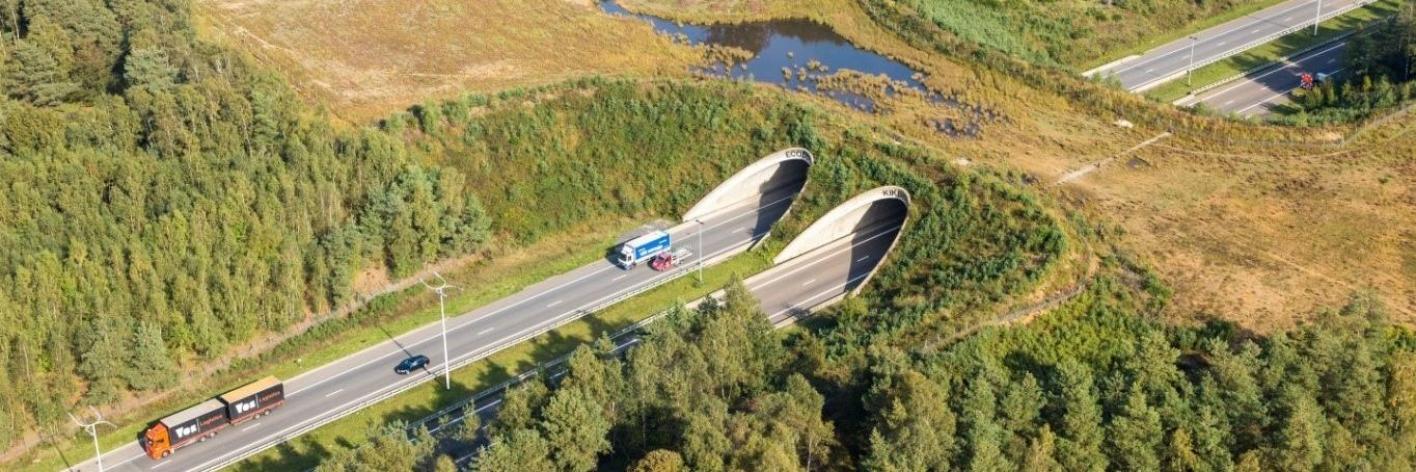 ecoduct