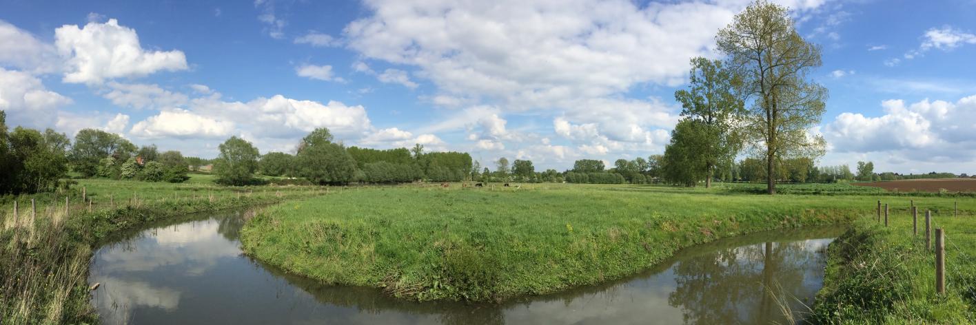 meanderende Zuunbeek  