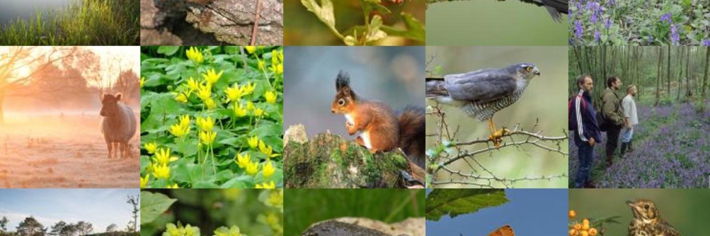 Natuurpunt Pajottenland & Zennevallei