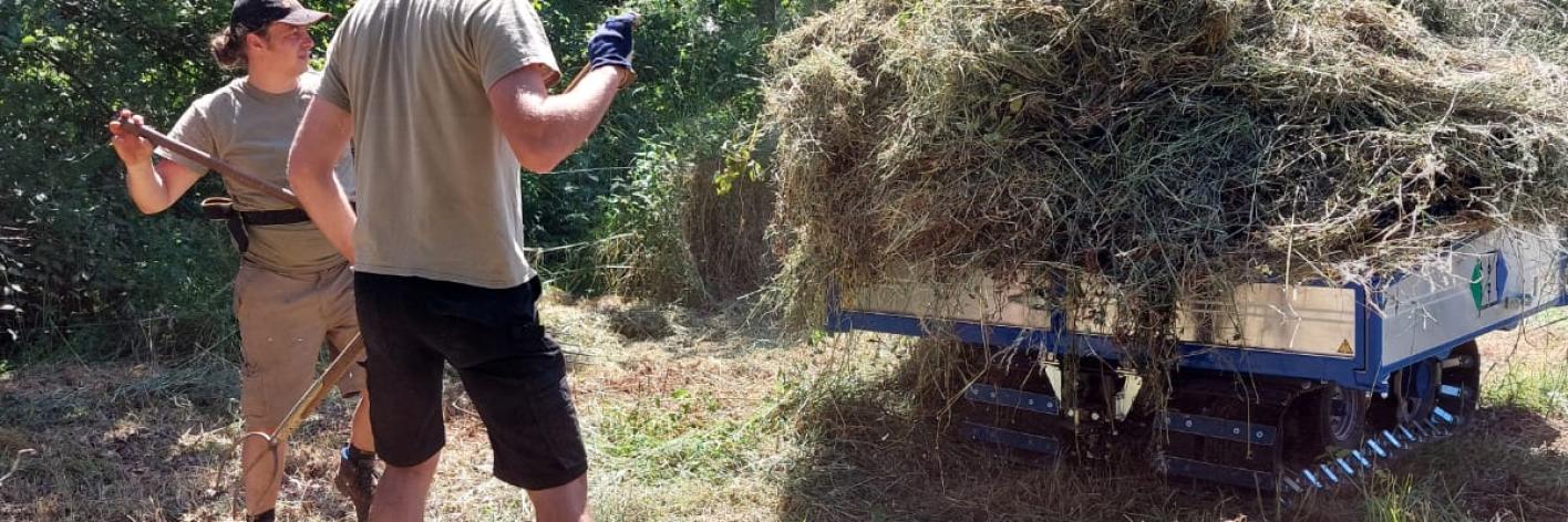 De terreinploeg in actie