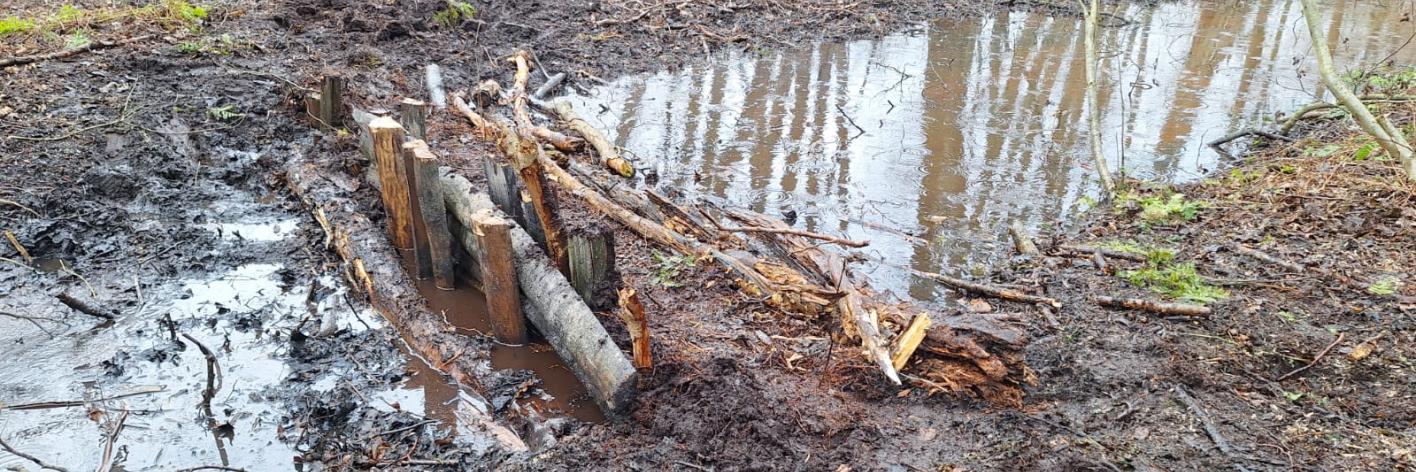 Dichtgestopte gracht in de vallei van de Grote Beek