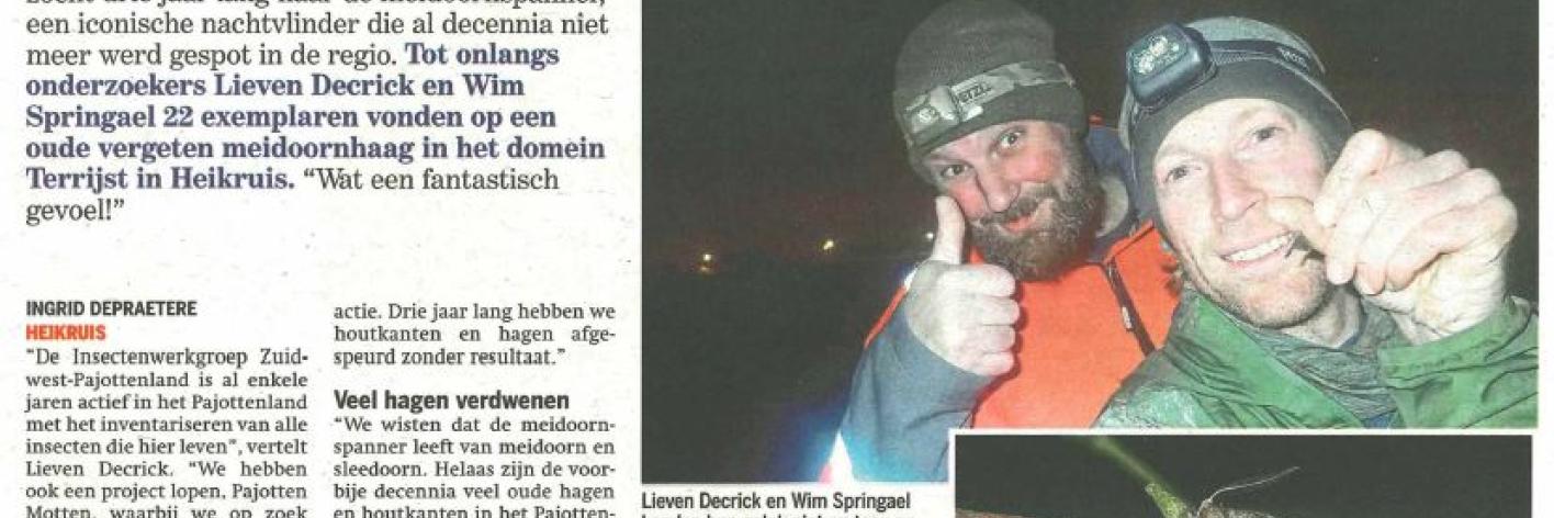 Nieuwsbericht Meidoornspanner