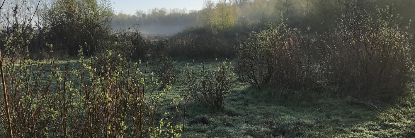 Bijenreservaat Bos t' Ename