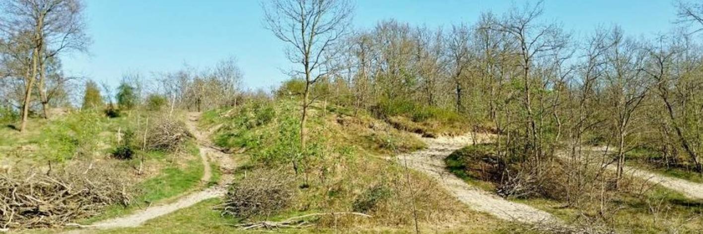 Bijenreservaat Heidemeersen