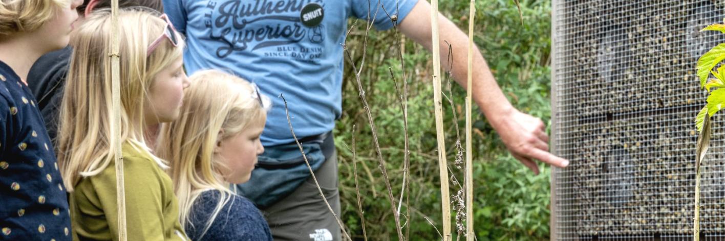 Bijenreservaat de kleiputten van Terhagen