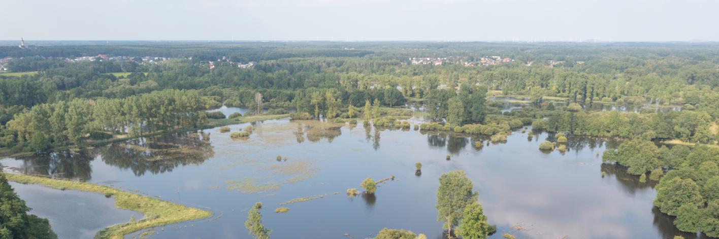 Demerbroeken