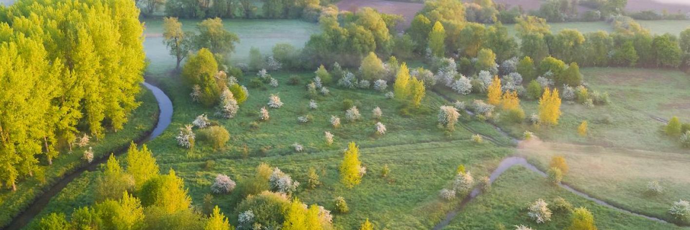 Natuur
