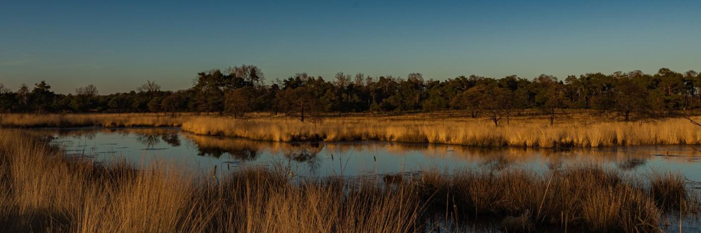 Water in Landschap De Liereman