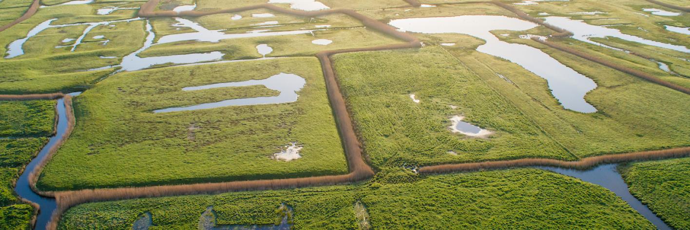 graslanden in de polders