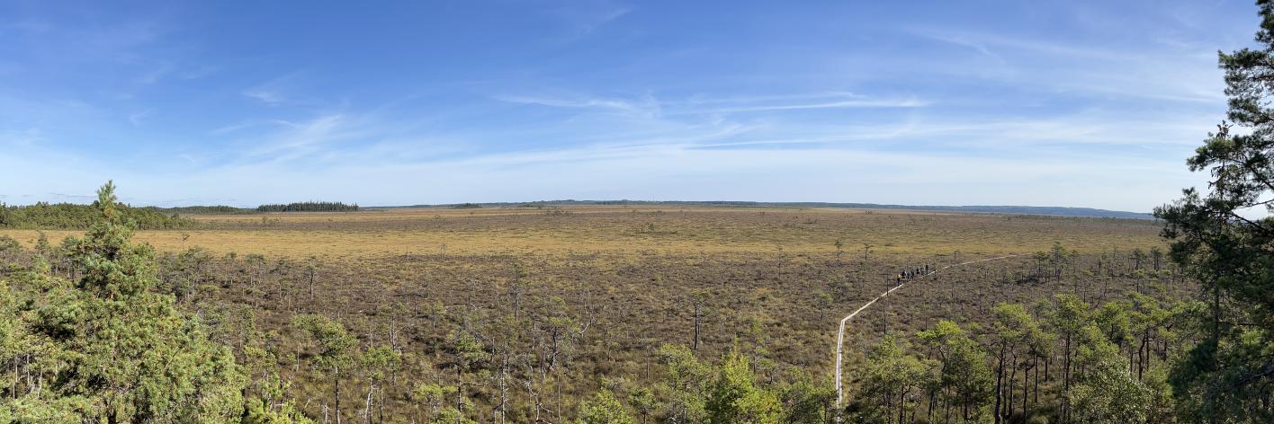 Panorama Hoogveen Store Mosse