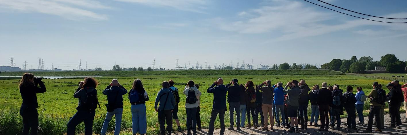 Uitstap Doel-Prosperpolder