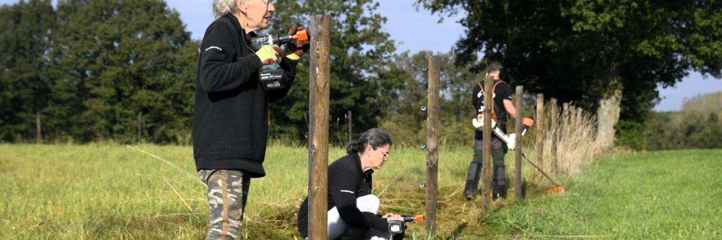 De vrijwilligers van het Wolf Fencing Team maken de 150e omheining wolfwerend 