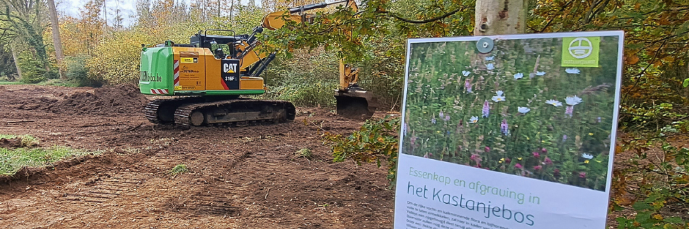 Afgravingen in Kastanjebos te Herent