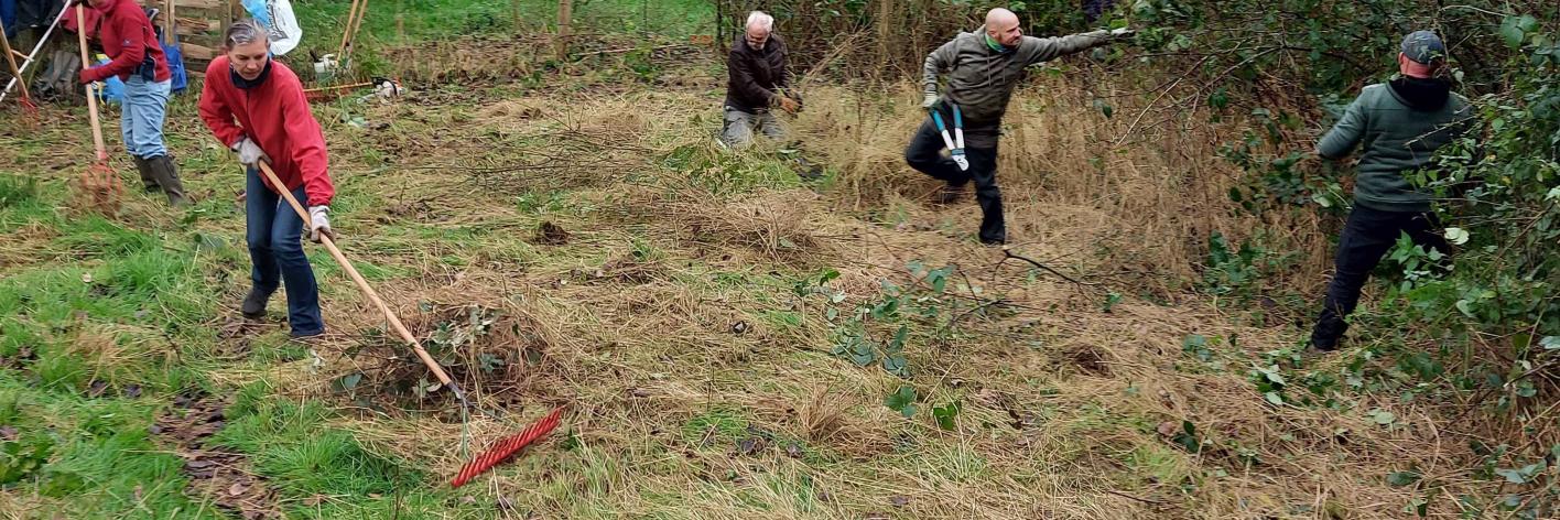 Beheer op de Helling in de Koeheide