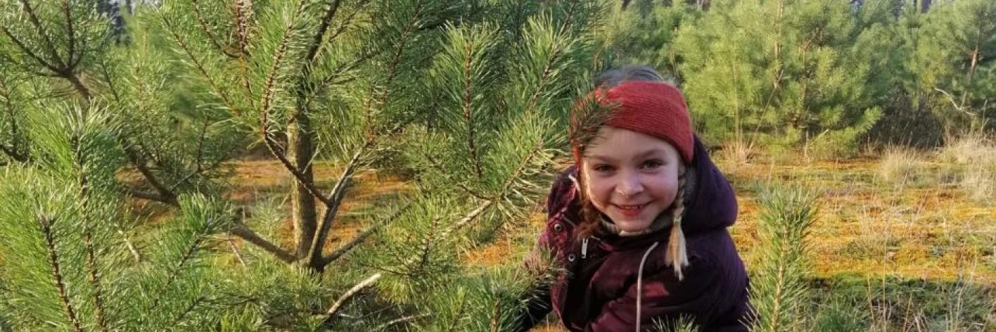 Kerstboom uit Landschap De Liereman