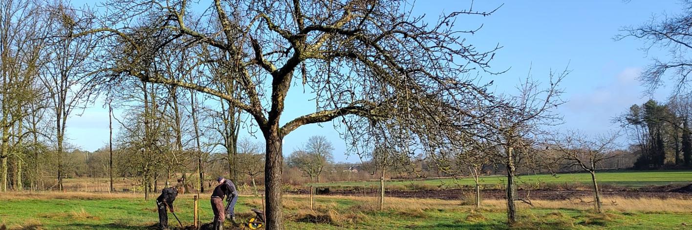 Beheerwerken Katershoeve Boomgaard , december 2024