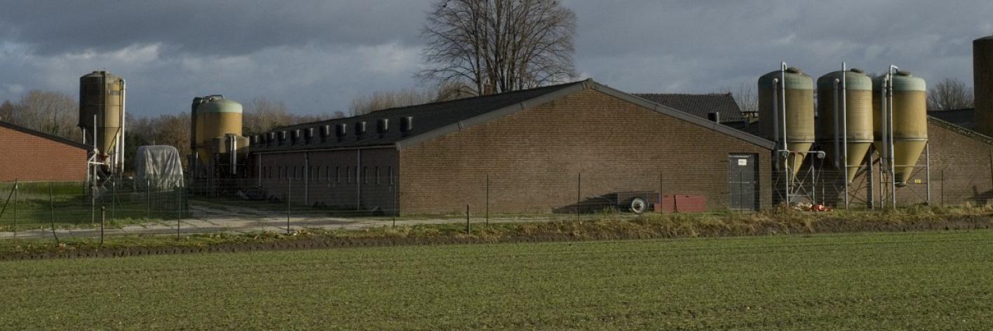 Landbouwbedrijf