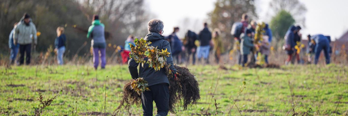 Aanplant Jan De Nul medewerkers