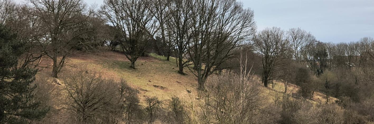 Overzichtsbeeld van De Helling na afloop