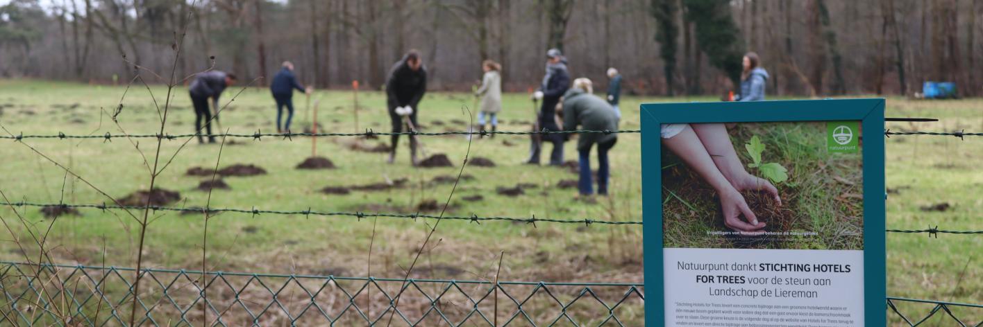 Aanplanting in Landschap De Liereman