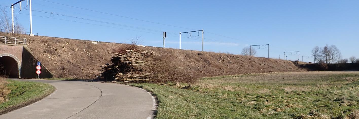 Kale spoorwegberm in Landen