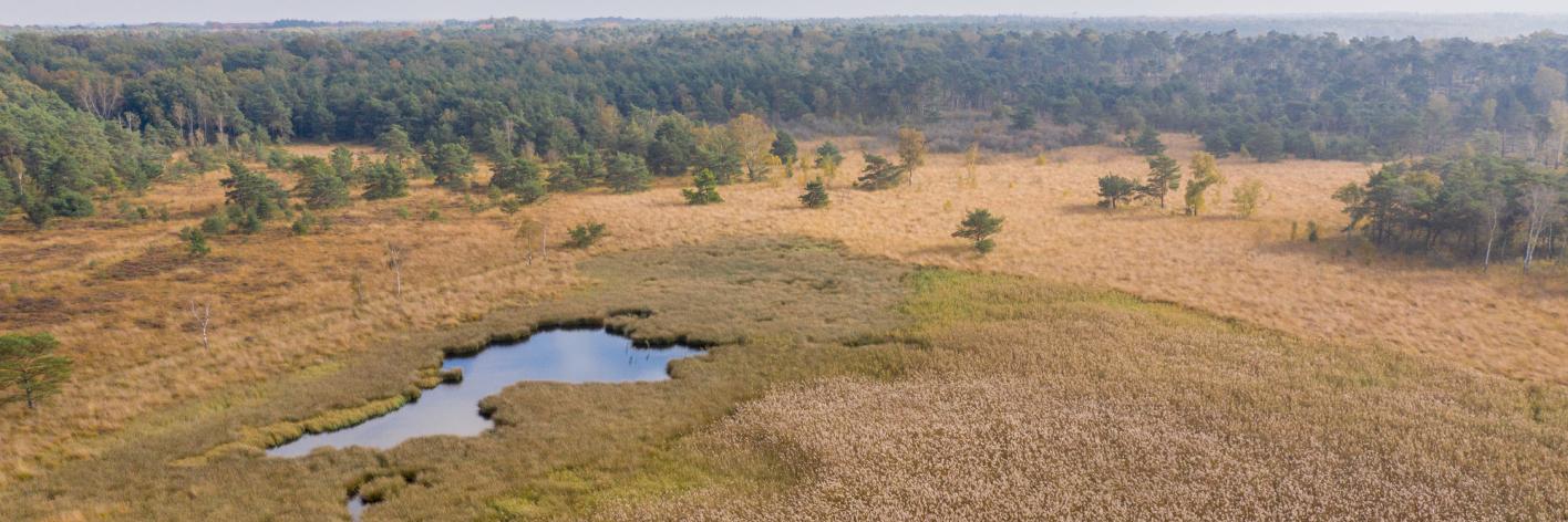 Kalmthoutse Heide