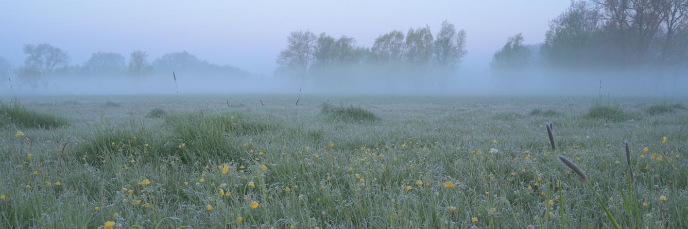 Keuzemeersen