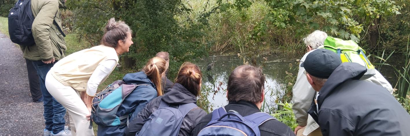 Anders Wandelpraten