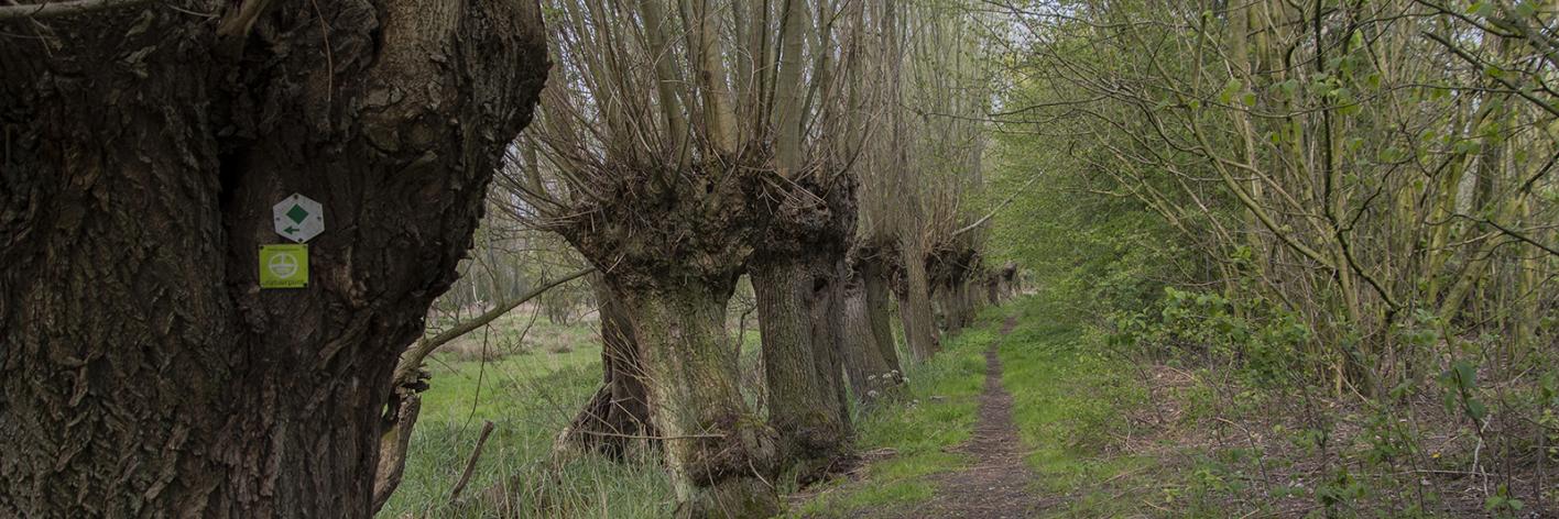 Daknamse Meersen wandelpad