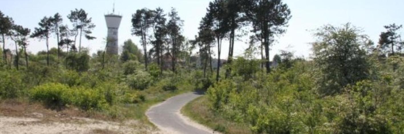 wandelpad in park 58