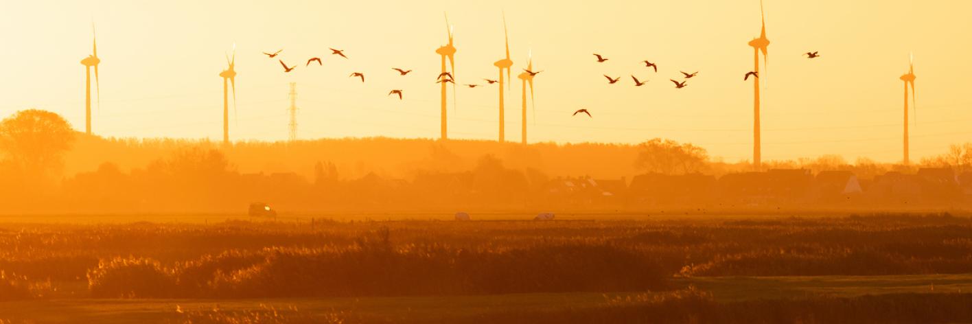 Windmolens