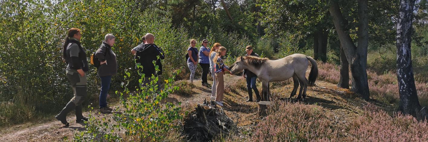 Grazerswandeling voor gezinnen