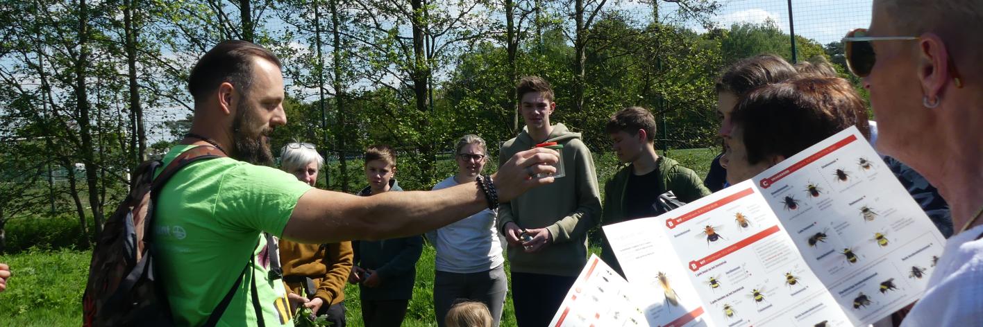 Infoblad met verschillende hommels
