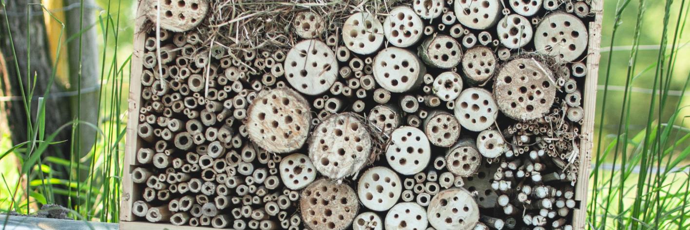 Insectenhotel