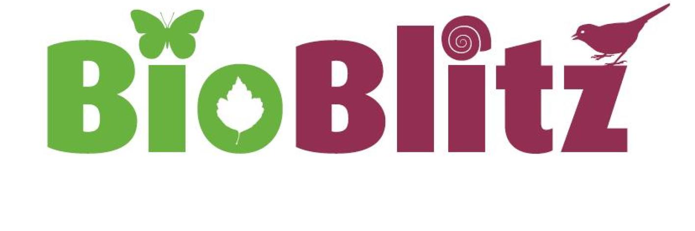 BioBlitz