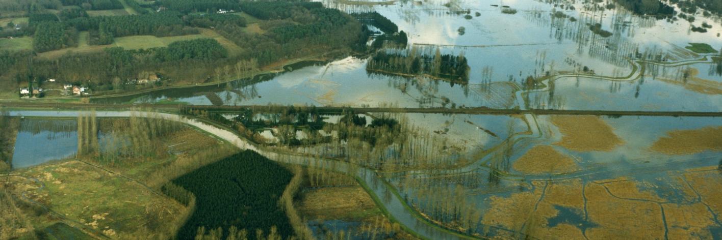 Water in de Demerbroeken tussen Zichem, Testelt en Averbode. 
