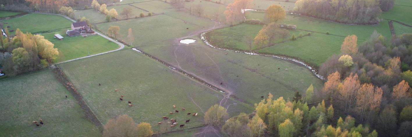 Versnipperd landschap