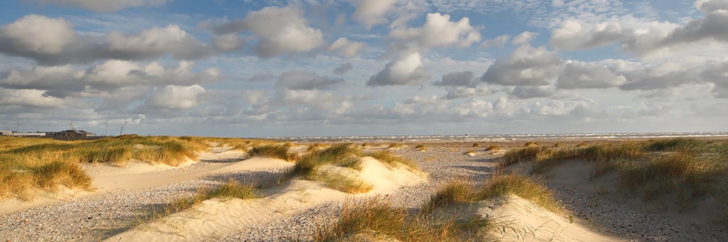 Duinen