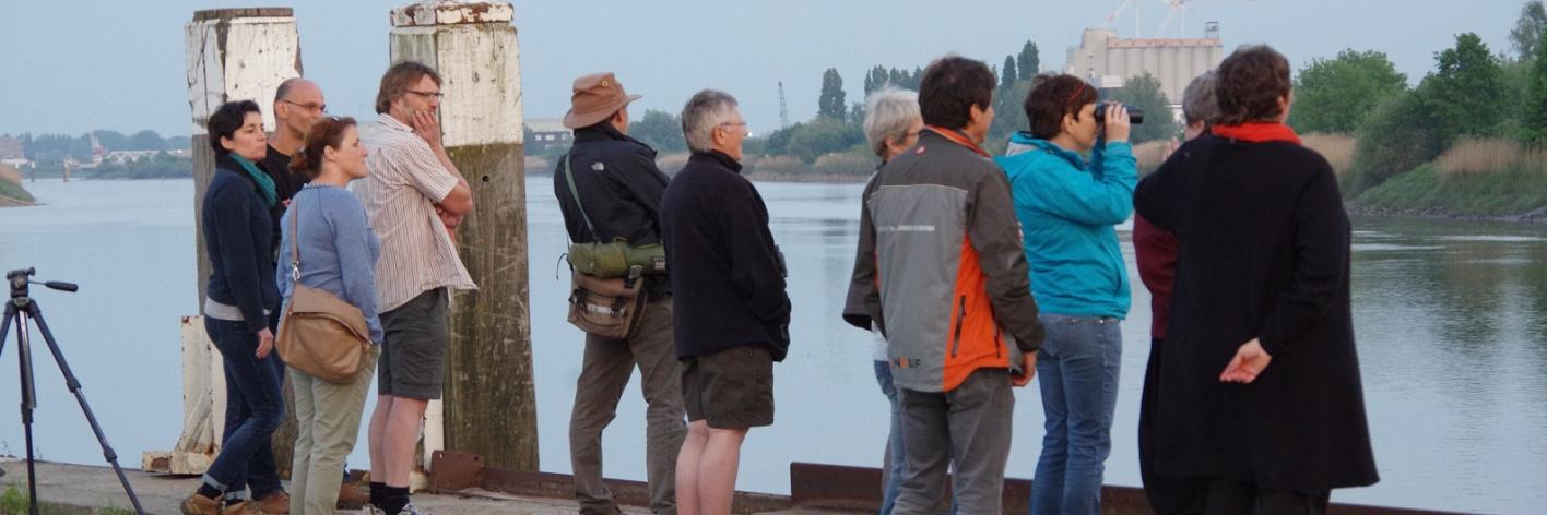 Fintenwatchers langs de Rupel in Niel