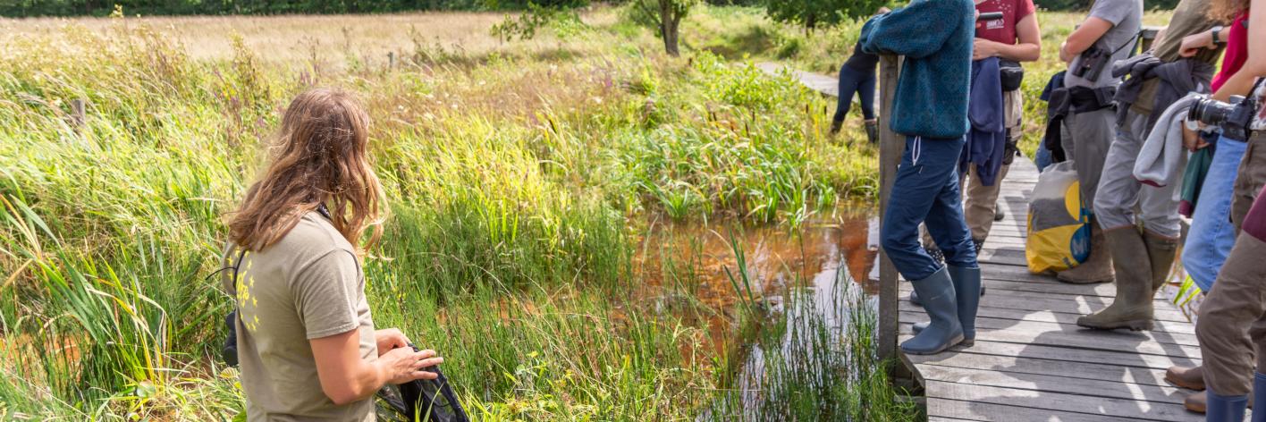 Veen in het hart - uit Natuur.blad 2023-3