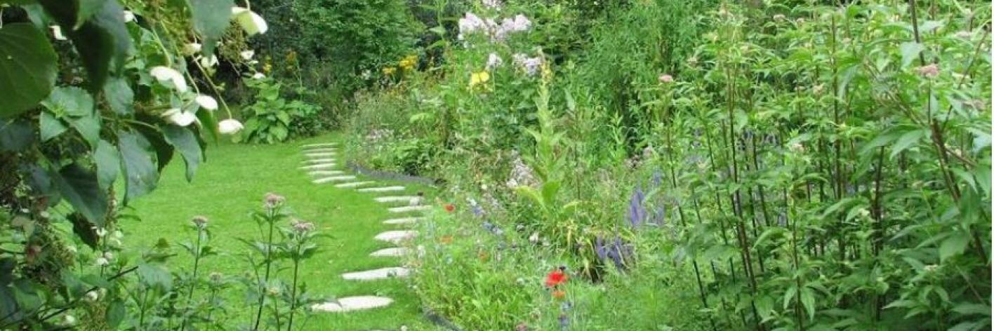 tuin
