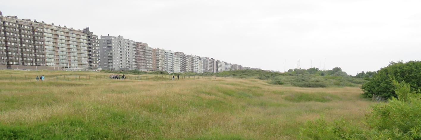 Duinen in Middelkerke