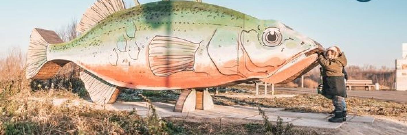 Natuurbelevingspad over vissen, Wichelen, aangelegd in 2023