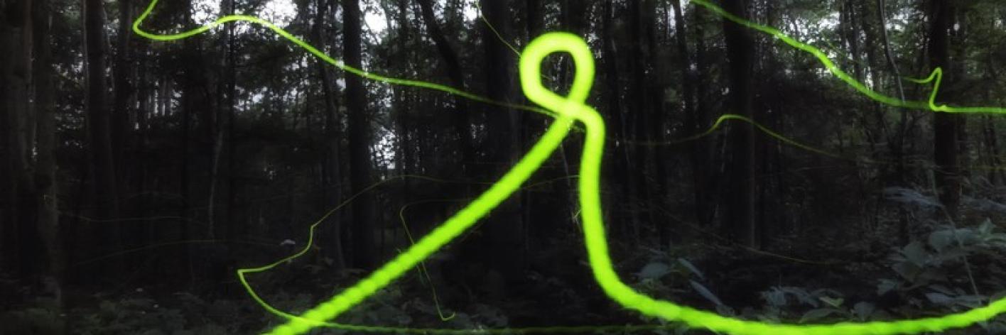 Kleine glimworm